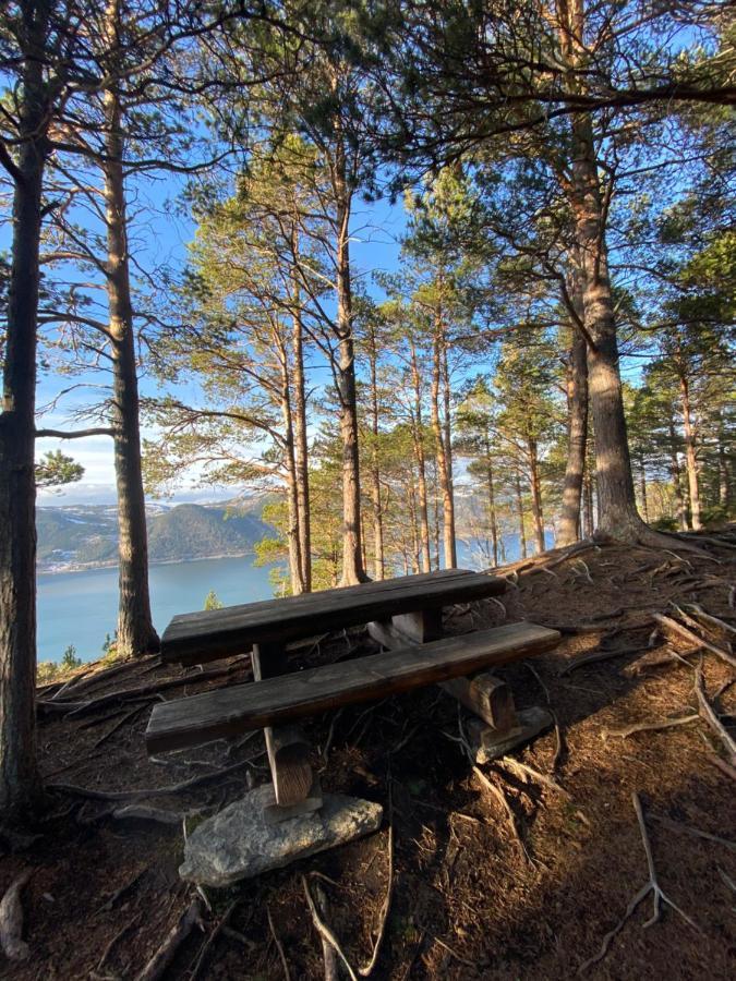 Chalet Orkanger Convenience And Serenity Eksteriør bilde
